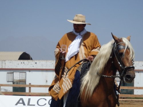 Peruvian Step Horse Show.